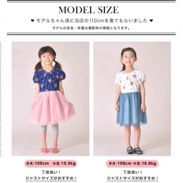 日本直送✈️ 花花圖案連身薄紗裙 2色2碼